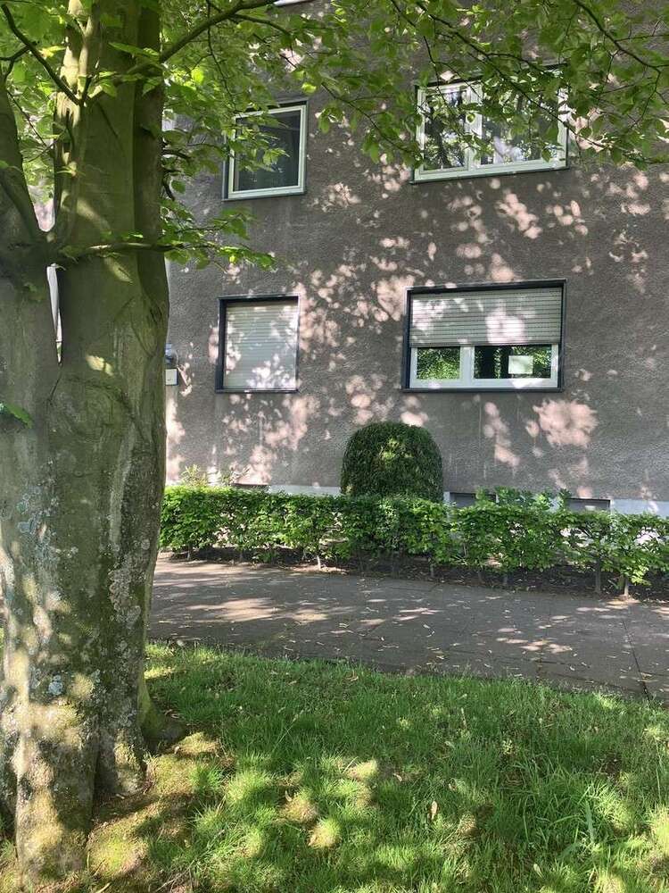 Wohnung zum Mieten in Bottrop 560 € 66 m²