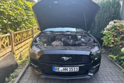 Ford Mustang 66.500 km 19.999 &euro; Marl 45772