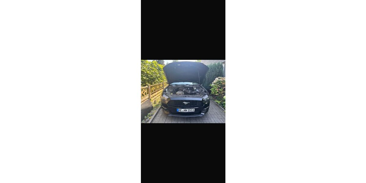 Ford Mustang 66.500 km 19.999 &euro; Marl 45772