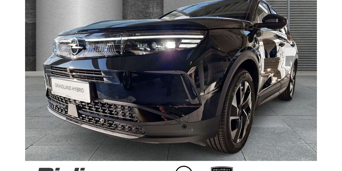 Opel Grandland (X) 10.306 km 32.990 &euro; Herten 45699