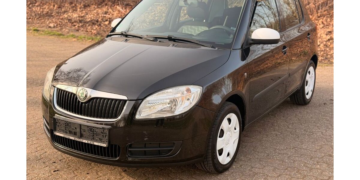 Skoda Fabia 186.650 km 2.499 &euro; Oberhausen 46045