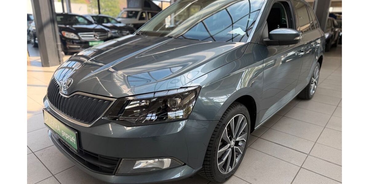 Skoda Fabia 248.500 km 4.890 &euro; Bottrop 46236