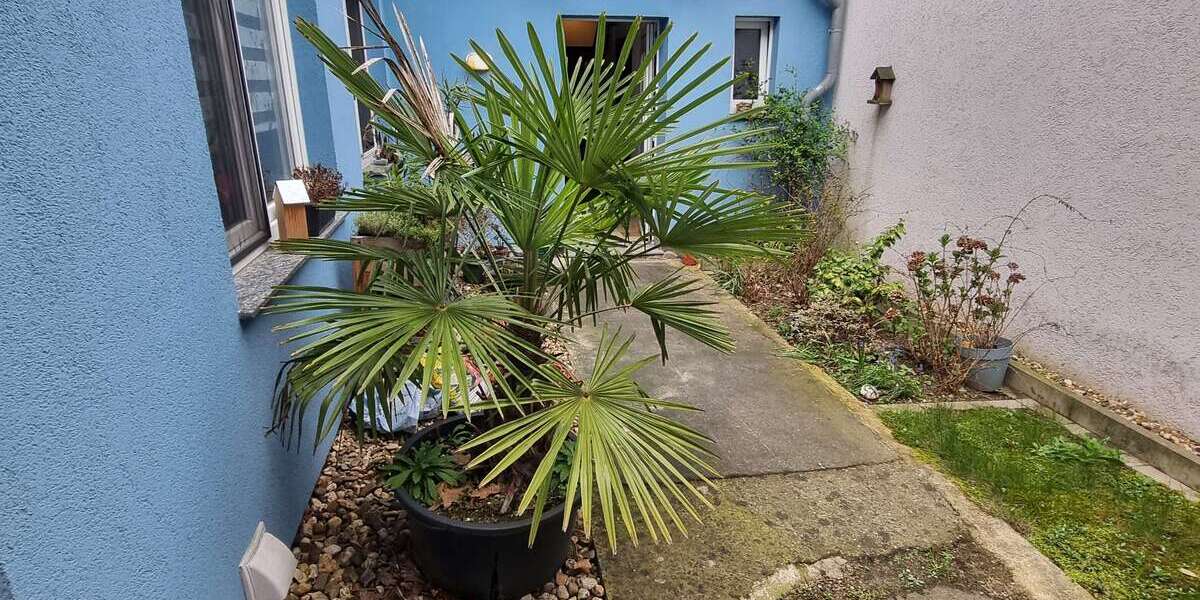 Etagenwohnung Krefeld Cracau - 4 Zimmer, 75 m&sup2;, 540&euro; | Angebot:25726158