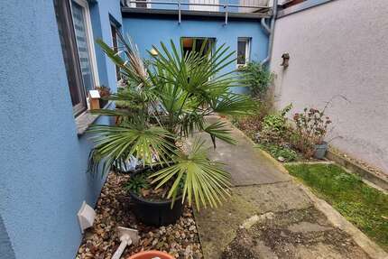 Wohnung Krefeld Cracau - 4 Zimmer, 75 m&sup2;, 540&euro; | Angebot:25726158