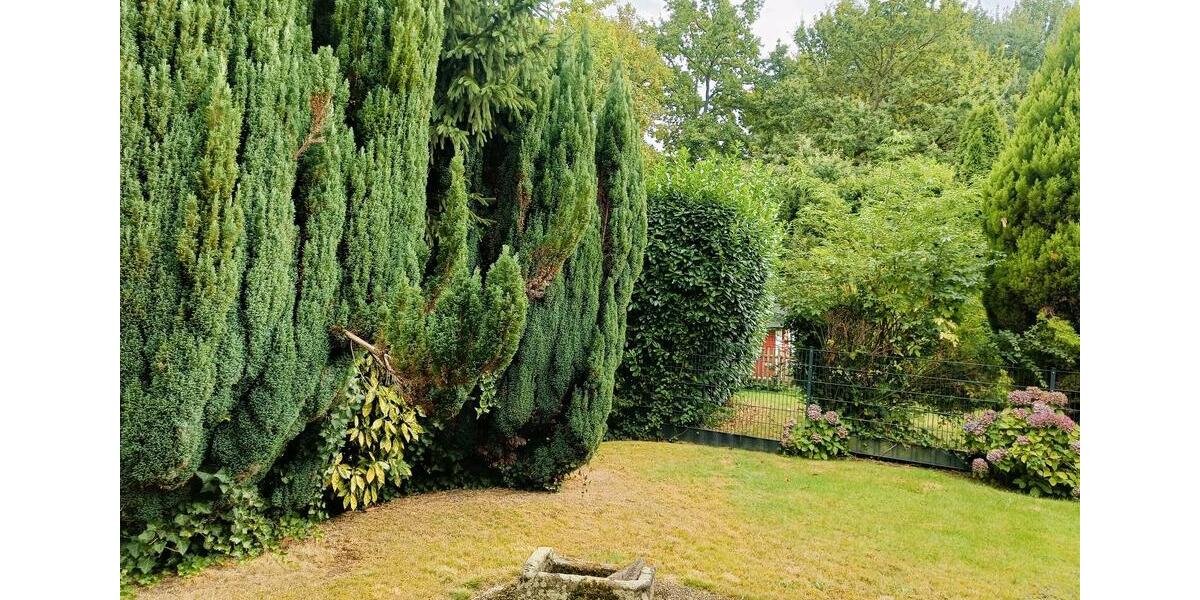 Eigentumswohnung in Bestlage von Marl-Polsum (Erbpachtgrundstück) 3 zimmer