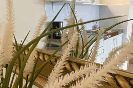 Wohnung Düsseldorf Pempelfort - 1 Zimmer, 27 m&sup2;, 850&euro; | Angebot:25373168