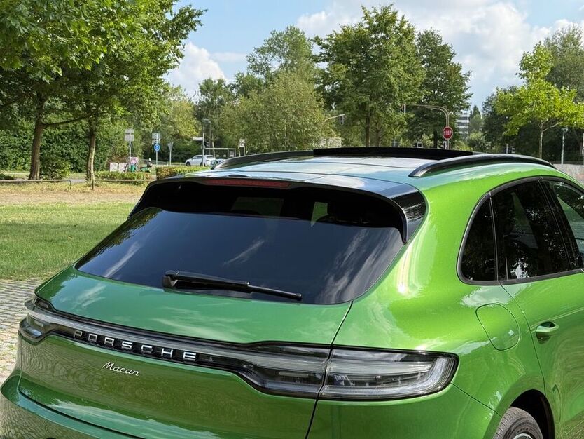 Macan
