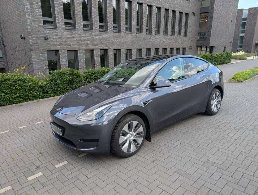 Model Y