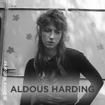 Aldous Harding
