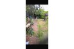 Bungalow Duisburg Mittelmeiderich - 2.5 Zimmer, 65 m&sup2;, 900&euro; | Angebot:25967727