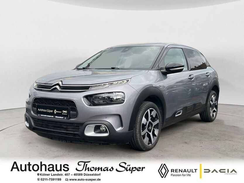 C4 Cactus