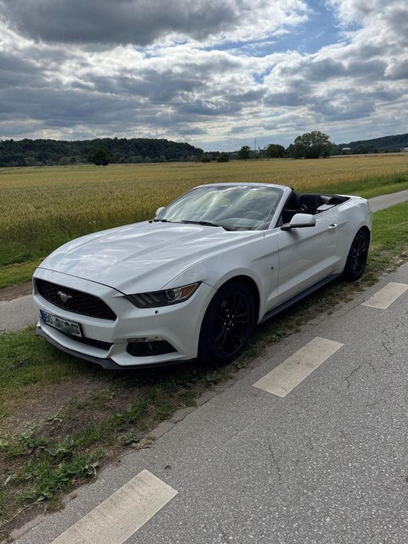 Mustang