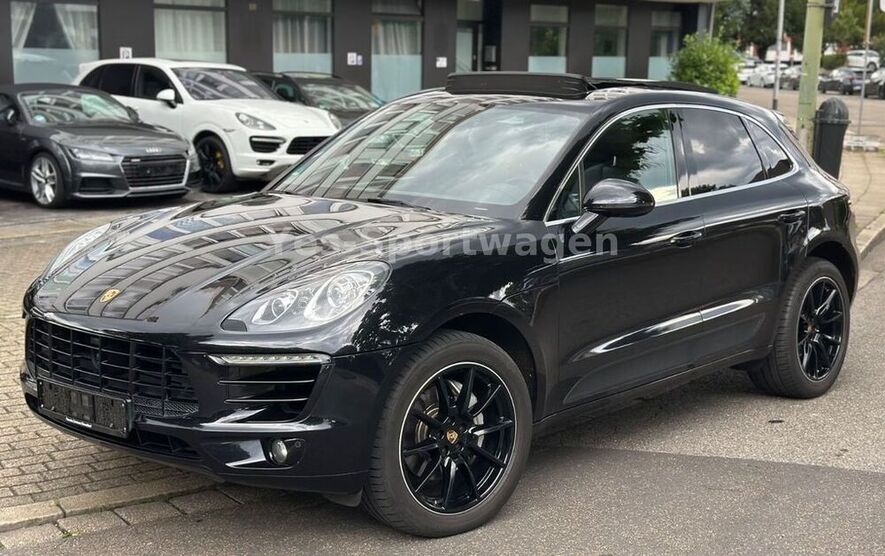 Macan
