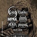 Vorga, Blodtake & Mrak