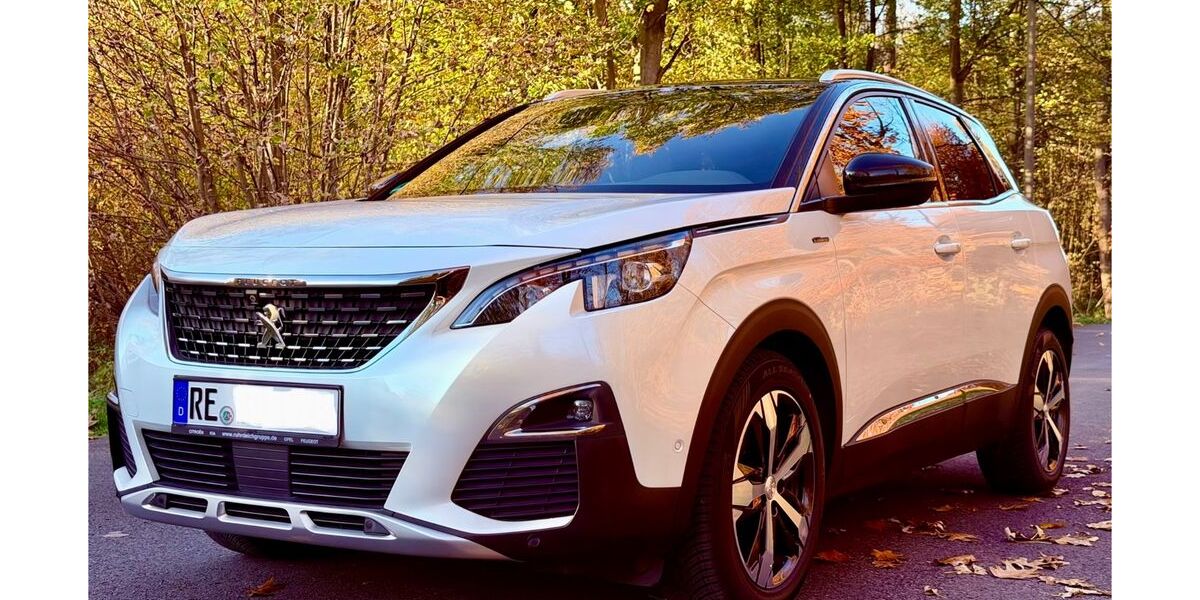 Peugeot 3008 87.500 km 18.900 &euro; Herten 45701